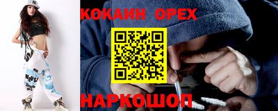 крисы Шелехов