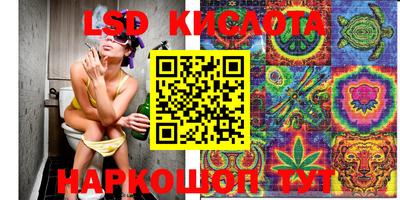эйфоретик Шебекино