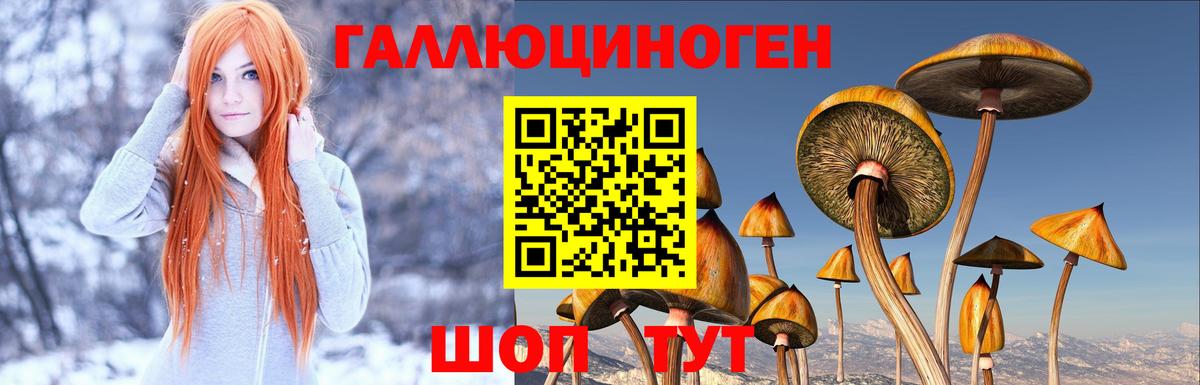 Псилоцибиновые грибы мицелий  Псилоцибиновые грибы мицелий  Вход с VPN  Будённовск 